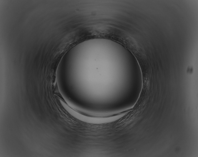 X0000091681012200708301515
