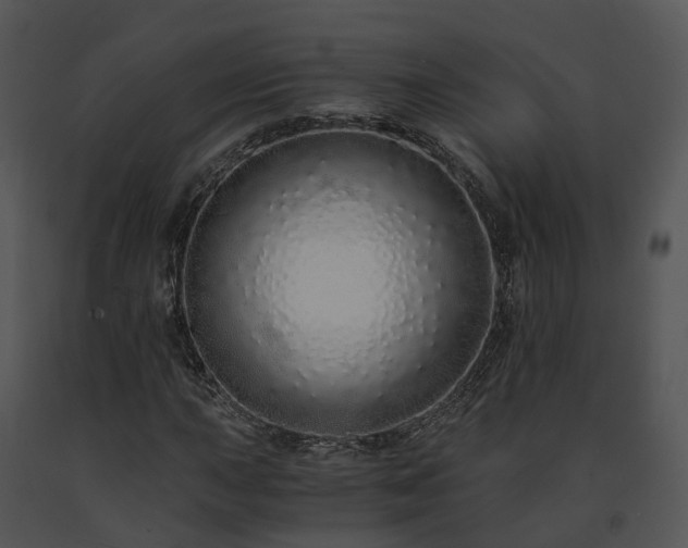 X0000091681015200708301515