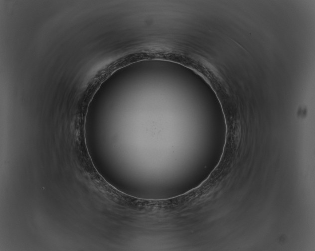 X0000091681016200708301515