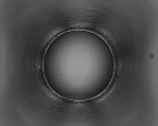 X0000091681017200708301515