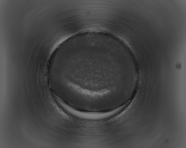 X0000091681018200708301515