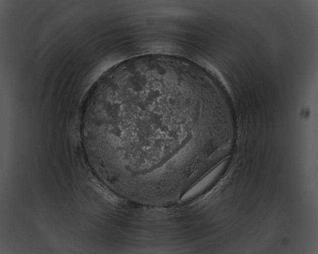 X0000091681019200708301515