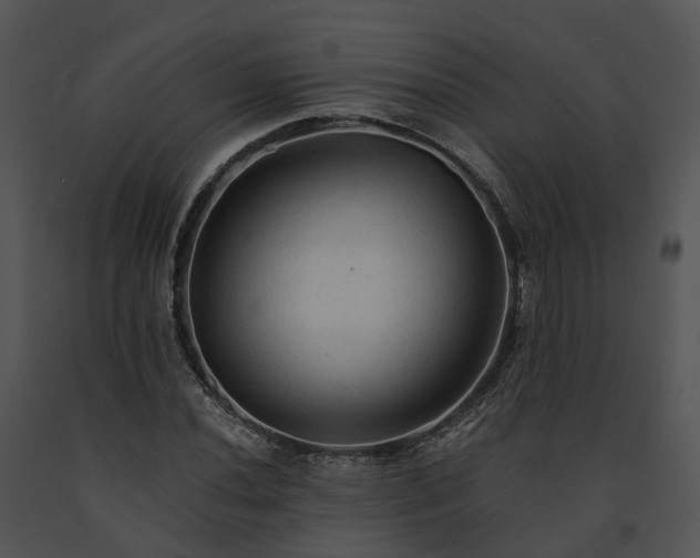 X0000091681020200708301515