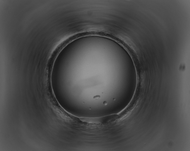 X0000091681021200708301515