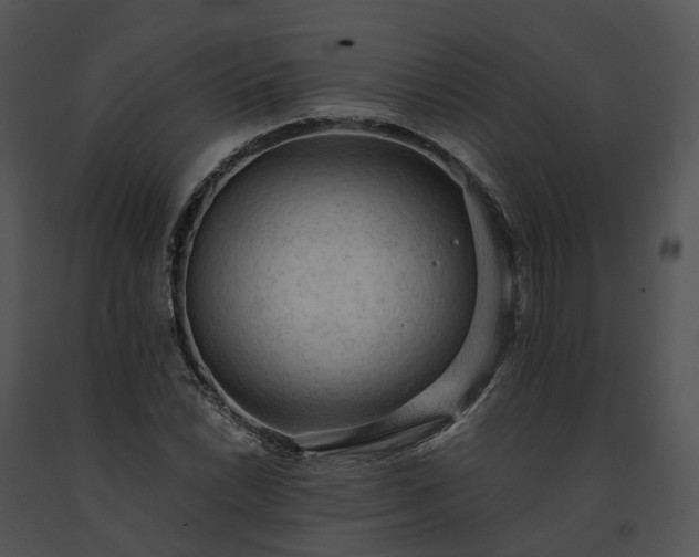 X0000091681022200708301515