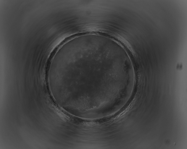 X0000091681023200708301515
