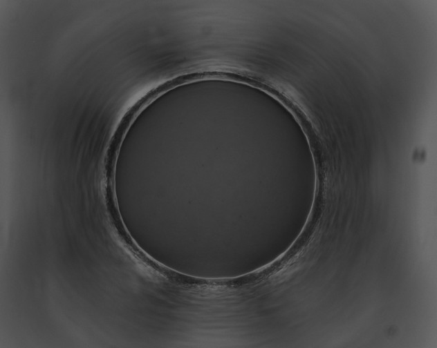 X0000091681024200708301516
