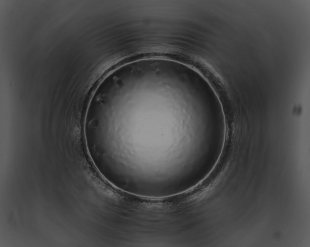 X0000091681025200708301516