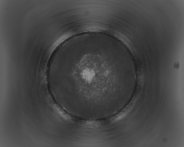 X0000091681026200708301516