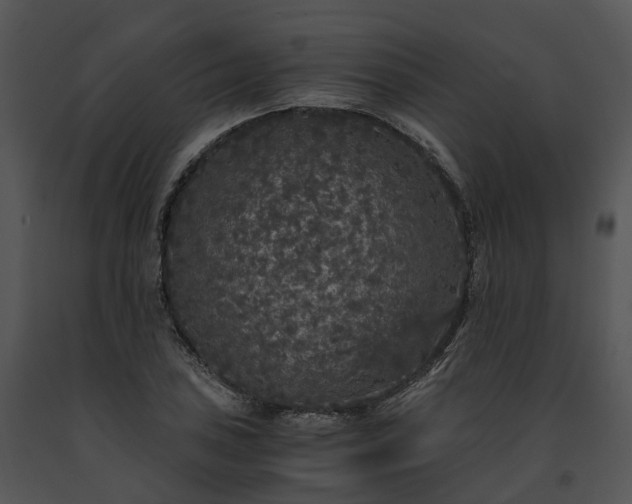 X0000091681027200708301516