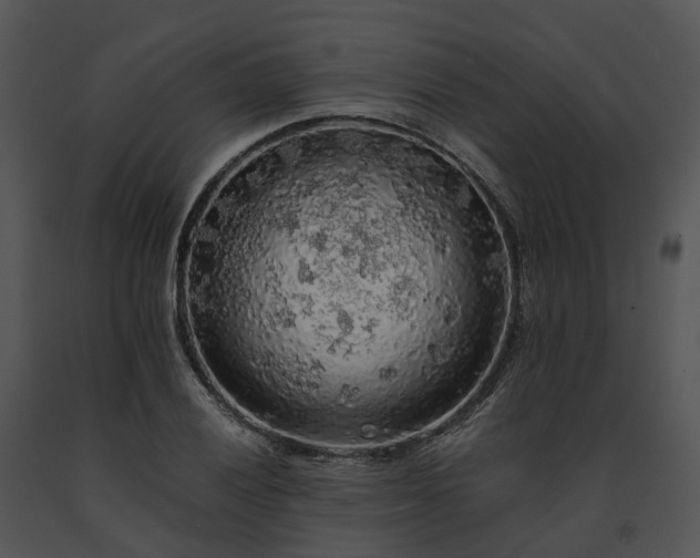 X0000091681028200708301516