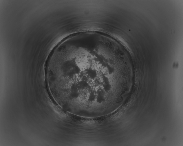 X0000091681031200708301516