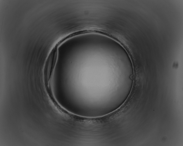 X0000091681032200708301516
