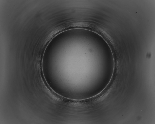 X0000091681033200708301516