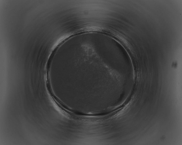 X0000091681034200708301516