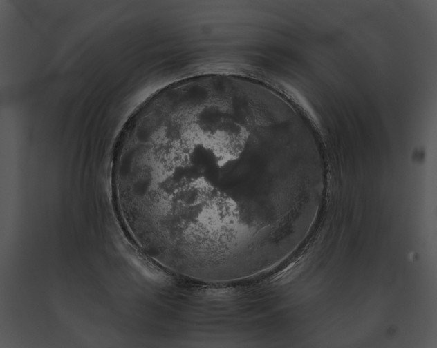 X0000091681035200708301516