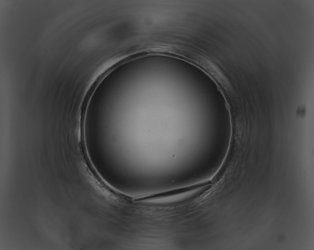 X0000091681036200708301516