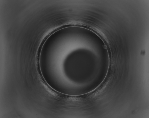 X0000091681037200708301516