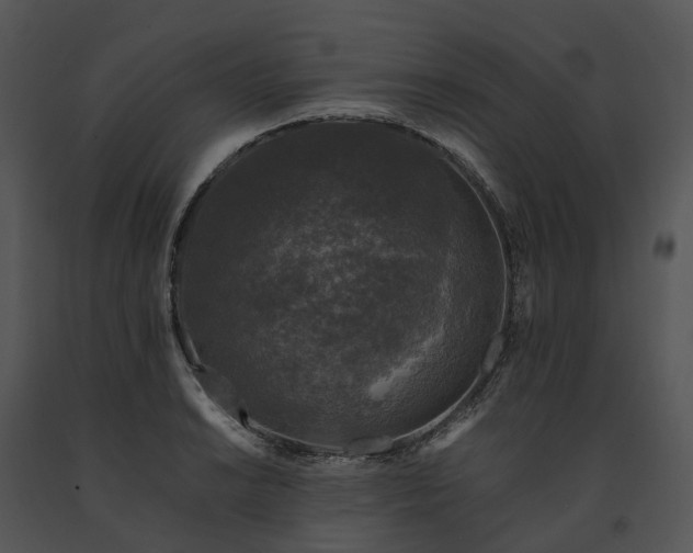 X0000091681038200708301516