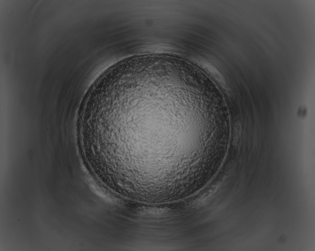 X0000091681039200708301516