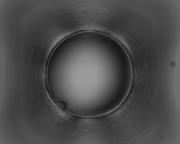 X0000091681040200708301516