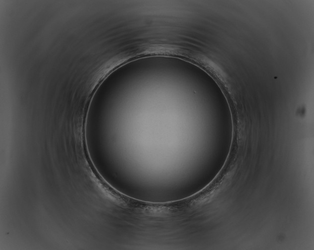X0000091681041200708301516