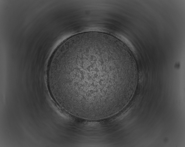 X0000091681043200708301516