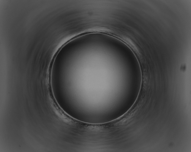 X0000091681044200708301516