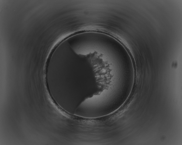 X0000091681045200708301516