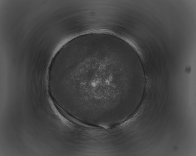 X0000091681046200708301516