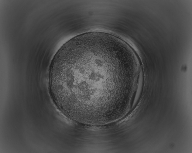 X0000091681048200708301516