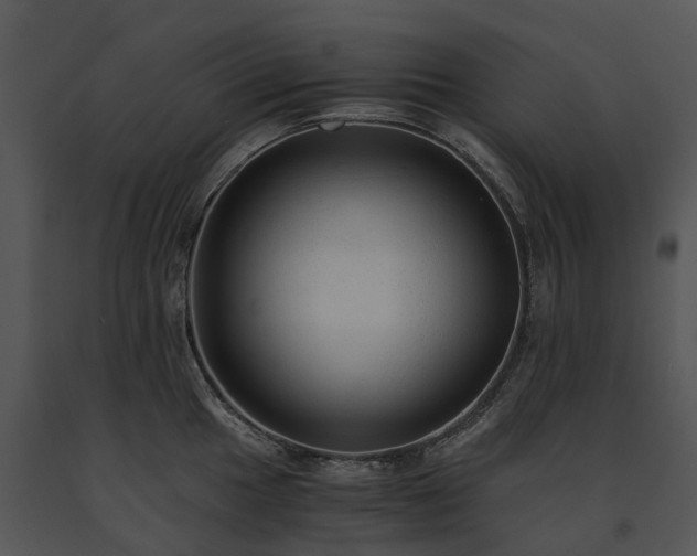 X0000091681049200708301516