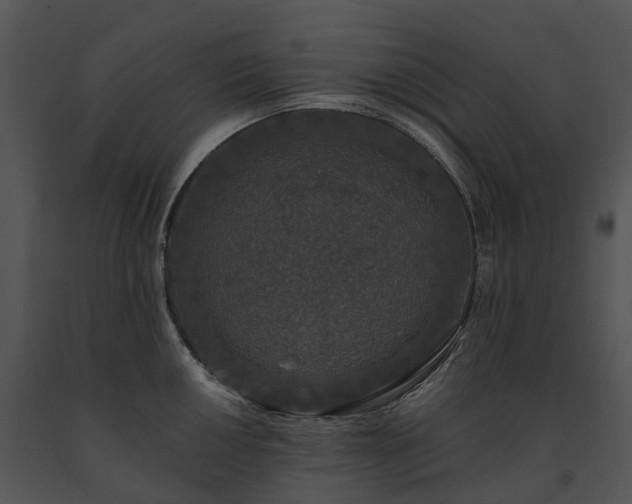 X0000091681050200708301516
