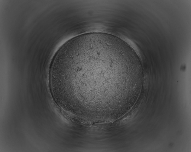 X0000091681051200708301516