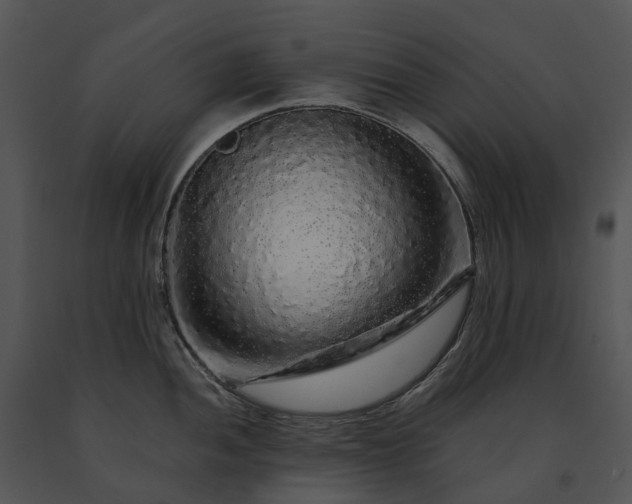 X0000091681052200708301516