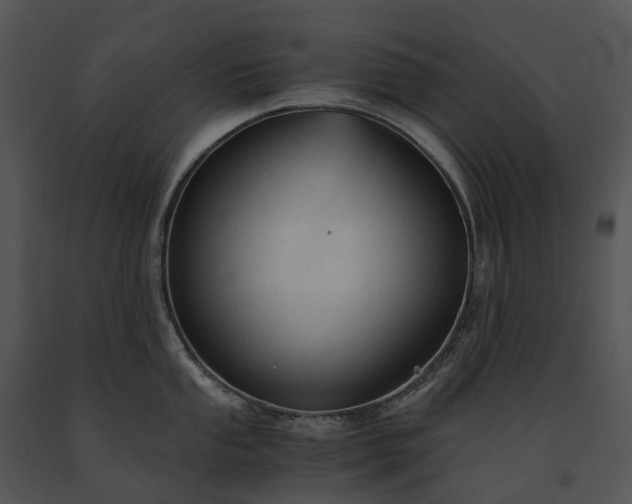 X0000091681053200708301516