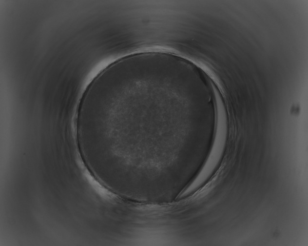 X0000091681054200708301516
