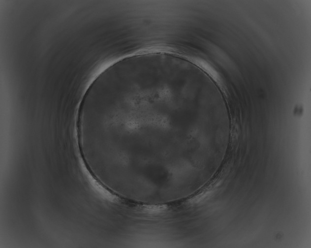 X0000091681055200708301516