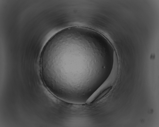 X0000091681056200708301516
