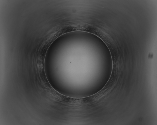X0000091681058200708301515