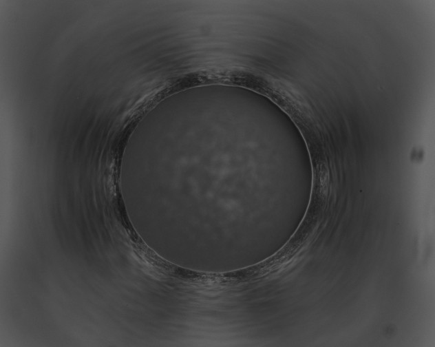 X0000091681060200708301515