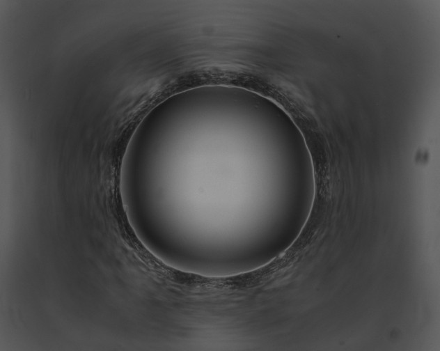 X0000091681061200708301515