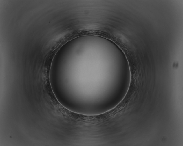 X0000091681062200708301515