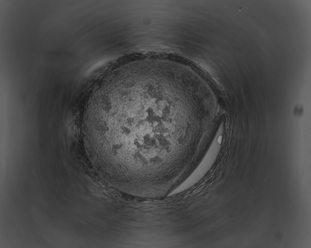 X0000091681063200708301515