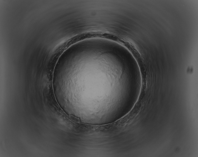 X0000091681064200708301515