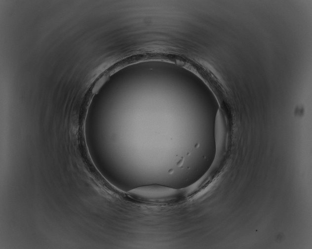 X0000091681065200708301515