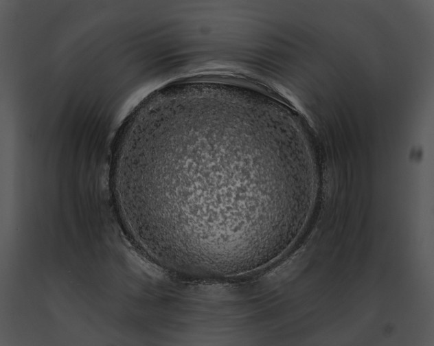 X0000091681066200708301515