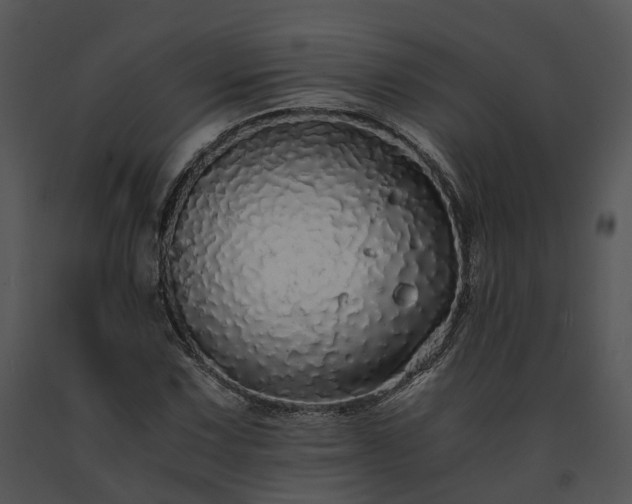 X0000091681067200708301515