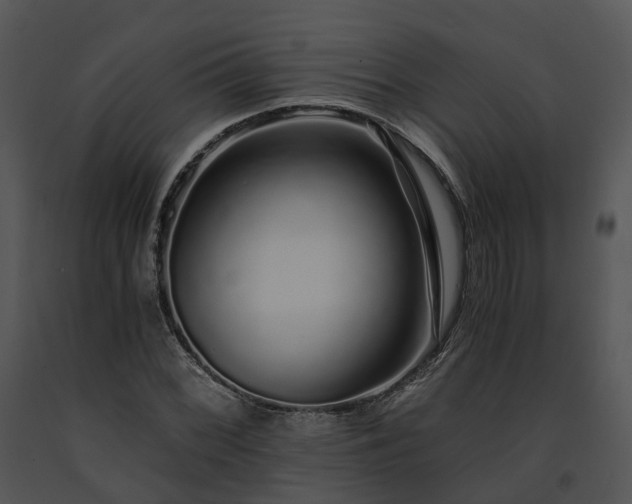 X0000091681068200708301515