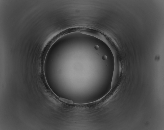 X0000091681069200708301515